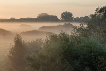Poranek z jesiennymi mgłami w Dolinie Narwi, Podlasie, Polska © podlaski49