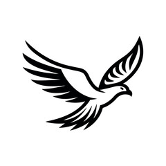 Obraz premium Black hawk in flight with spread wings bird flying eagle