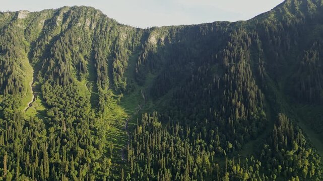 Majestic Aerial View of Arang Kel, Azad Kashmir &mdash; Vast Pine Forest Stretching Across Mountain Slopes Beneath Rugged Peaks and Blue Sky in the Heart of the Himalayas