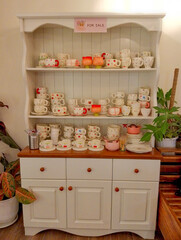 Charming Teacup Collection