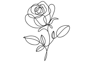 Single line drawing of rose flower outline minimal floral vector design
