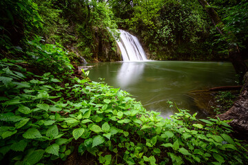 Parc naturel volcanique de la Garrotxa