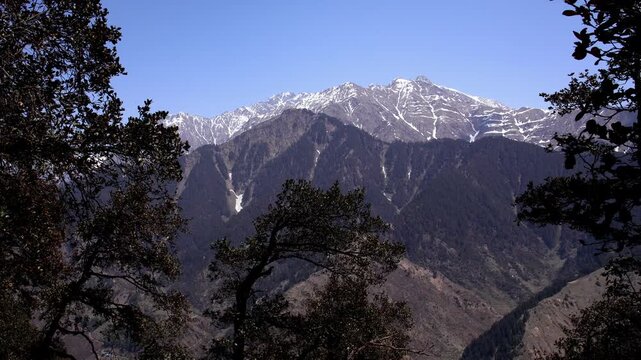 A wide scenic view captures the breathtaking beauty of Rajgunda Valley surrounded by the Dhauladhar mountain range, covered with snow and framed by Himalayan cedar trees.
