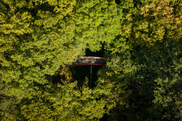 Naklejka premium Tis round shaped canopy trail is on the Gerecse mountains in North Hungary. The structure is surrounded by beautiful green trees in the forest