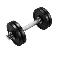 Naklejka premium Black rubber metal Dumbbell with shadow. 3d rendering illustration isolated on transparent background.png