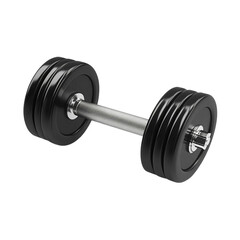 Naklejka premium Black rubber metal Dumbbell with shadow. 3d rendering illustration isolated on transparent background.png