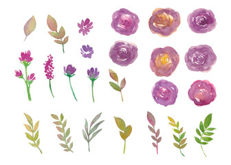 Watercolor Floral Individual Set Purple Rose
