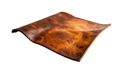 Curved, brown, textured leather. Dark surface with shadows and highlights