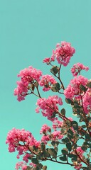 Pink flowers bloom against light teal sky