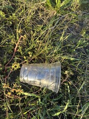 Empty plastic cup lying on the grass in the park