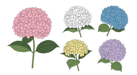 A collection of colorful hydrangea flowers in various pastel shades creating a beautiful floral arrangement.