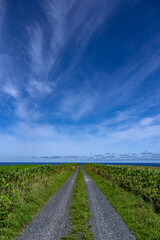 Country road in the grassland of Soya cape, Hokkaido, Japan