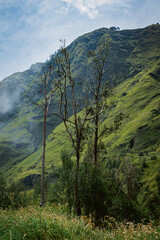 Exploring majestic mountain scenery indonesia nature photography lush environment wide angle adventure