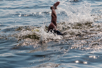 Person Swimming In Open Water Creating Splashes with one arm sticking up taking a stroke