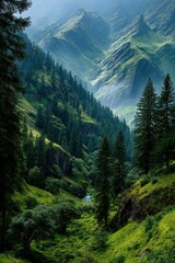 Green forest valley with flowing river