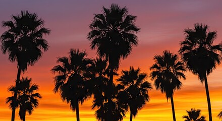 Obraz premium Silhouetted palm trees stand tall against a vibrant sunset sky.