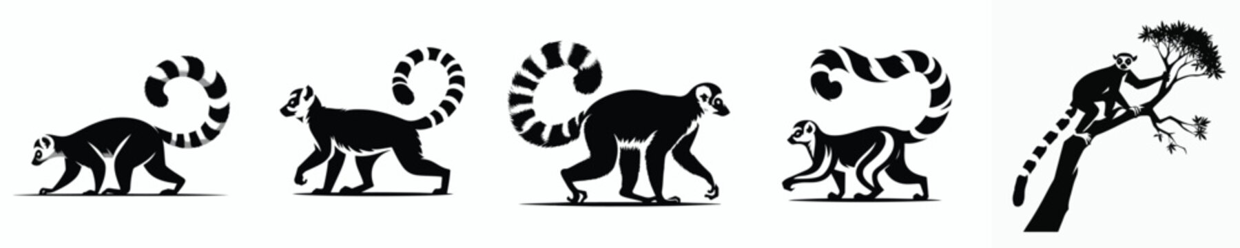 vector black and white silhouette of a lemur