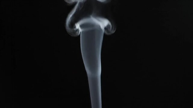 Wisps of ethereal smoke gracefully rise against a dark background.