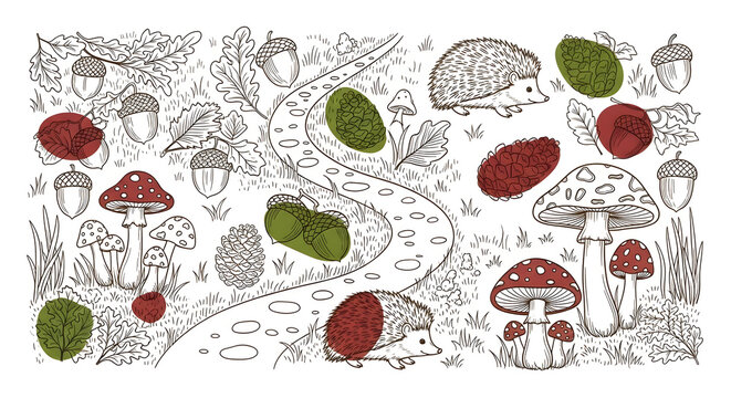 Forest foraging line-art set. Whimsical drawings of acorns, pinecones, hedgehogs, and toadstools along a winding path. Playful yet sophisticated color scheme of chocolate brown, moss green