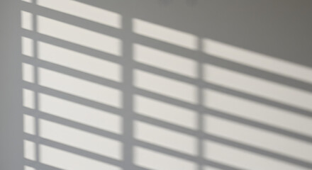 windows of a building