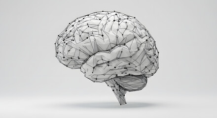 3d rendered illustration of a brain