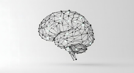 human brain model