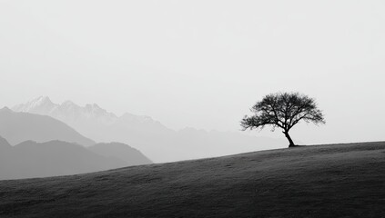 Serene black and white landscape of tree on a hill, mountains in background