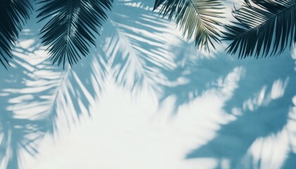 The image shows two palm fronds with their shadows projected onto a light blue wall background.