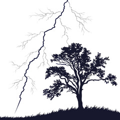 Silhouette of a tree struck by lightning on a white background