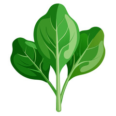 Fresh spinach leaves offer a vibrant touch for healthy recipes and culinary creations, promoting wellness and nutrition with its rich green color and leafy texture
