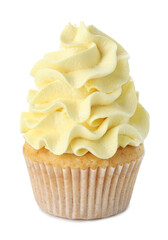 One delicious cupcake with color cream isolated on white