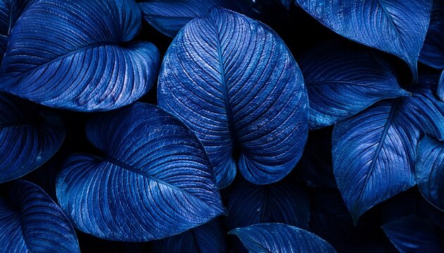a close up of blue leaves with a dark background