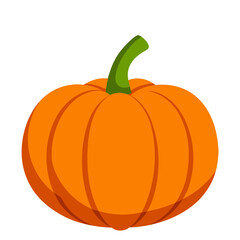 Obraz premium Orange pumpkin vegetable. Autumn Halloween or Thanksgiving pumpkin symbol. Isolated on a white background