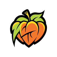 vector illustration of an orange fruit
