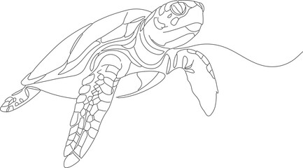 Detailed Line Art Sea Turtle Swimming Ocean Creature Illustration