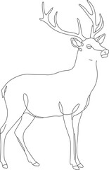 Minimalist Outline Standing Red Deer Illustration Wild Animal Drawing