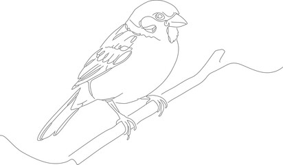Detailed Line Drawing Bird Sitting on a Branch Illustration