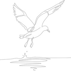 Minimalist Line Art Flying Seagull Above Water Bird Illustration
