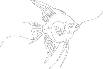 Obraz premium Simple Line Art Angelfish Tropical Aquarium Pet Fish Illustration