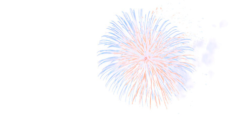 Festive Fireworks Spectacle: A vibrant display of fireworks bursting in the sky, painting a canvas of light and color against the night. capturing moments of celebration and joy. fireworks for diwali.