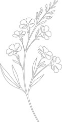 Delicate Line Art Flower Branch Botanical Illustration Minimalist Design Element