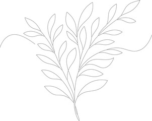 Simple Line Art Delicate Twig with Leaves Botanical Illustration