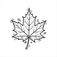 A black and white line art illustration of a maple leaf, hand-drawn in a doodle style on a white background.