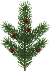 Festive evergreen bough with pinecones design element