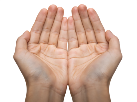 Cupped hands holding empty space isolated on a transparent background