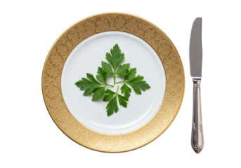 Isolated fancy plate with golden border next to a shiny table knife, an elegant presentation
