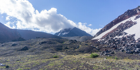 Distant snow-capped mountains behind green forest ridge under clear sky