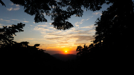 Silhouette of trees framing a vibrant sunset with clouds and mountain peaks in the distance view