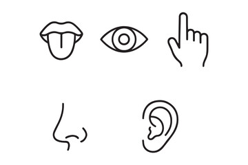 Five human senses editable stroke outline icons set. Flat vector illustration of human senses including ear, eye, nose, lips, and hand in minimalist design style. Five senses of human nervous system