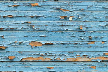 Background painted in blue color. Texture from old wooden boards with peeling paint. Closeup.